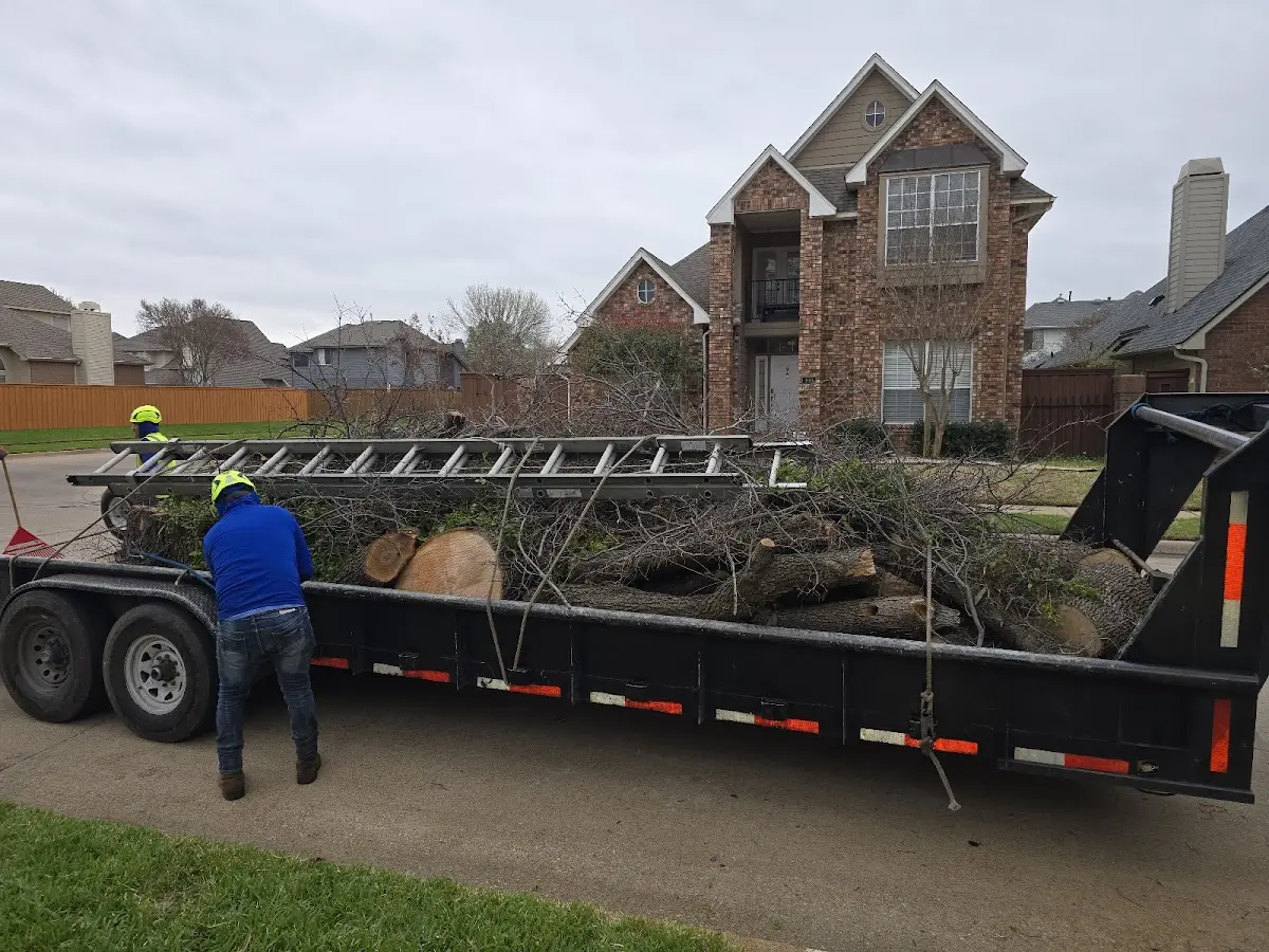 Expert Tree Pest Control with proper safety equipment in Mount Pleasant